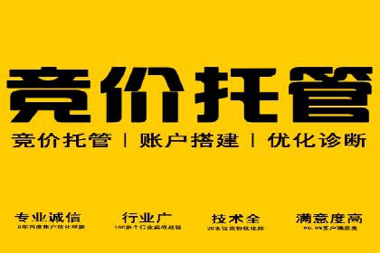 某某sem代运营推广公司经典案例：品牌知名度大增